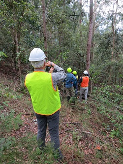 CIFOA Monitoring Program